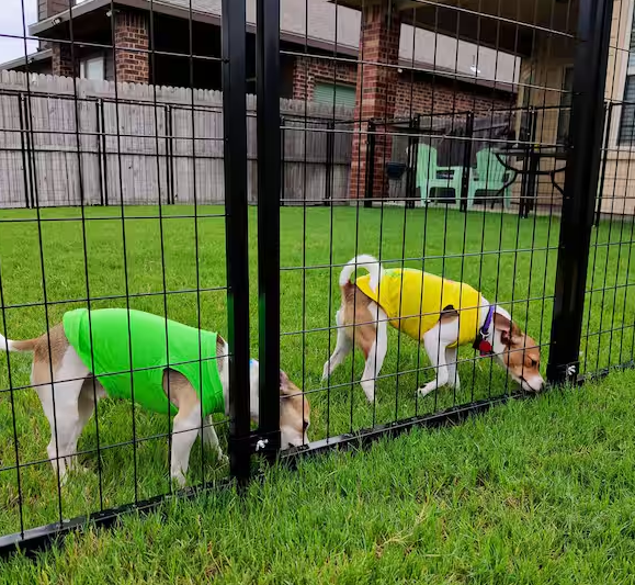 Kennel Heavy-Duty Pet Playpen Foot Dog Exercise House