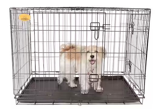 24 in. x 17 in. x 19 in. Small Wire Dog Crate
