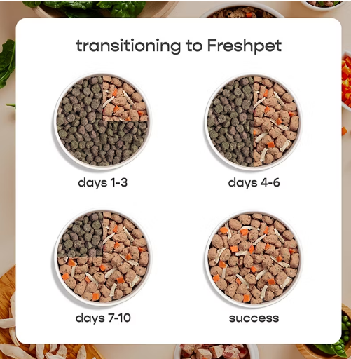 Small Dog Food - Chicken Recipe, 2 lbs