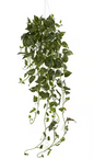 Pothos Hanging Basket Artificial Plant