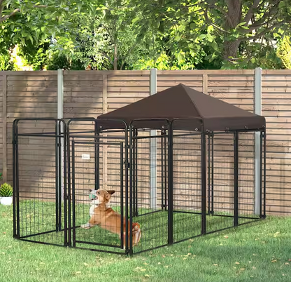 Dog Kennel Outdoor with Extended Run