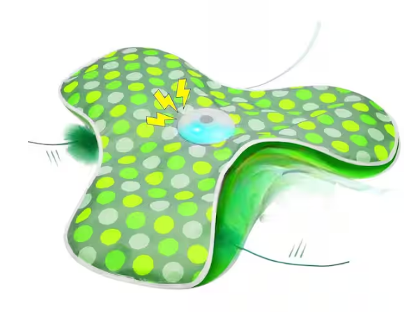 Interactive Cat Toys Rechargeable with Moving Feathers