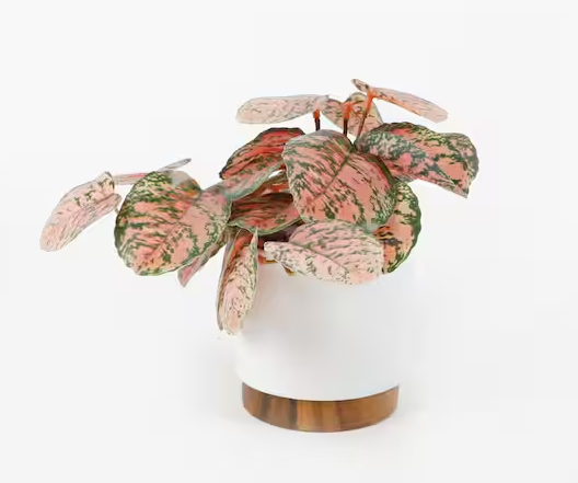 4.25" White Artificial Trailing Plant in Ceramic