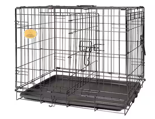 24 in. x 17 in. x 19 in. Small Wire Dog Crate