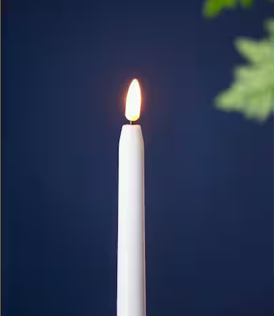 15 in. H White LED Taper Candles with Remote Timer