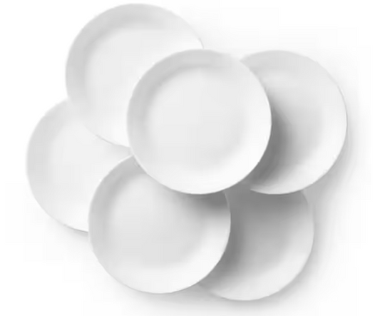 Winter Frost White 10.25 in. Dinner Plates (6-Pack)