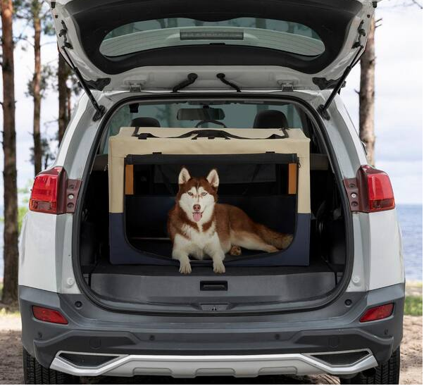 Dog Outdoor Travel Crate 3-Door Design