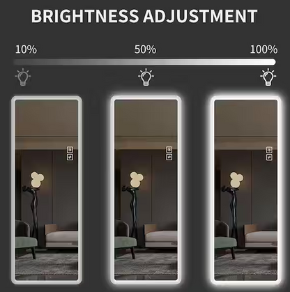 22 in. W x 65 in. H Rectangle Frameless LED Full Length Mirror