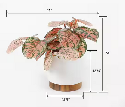 4.25" White Artificial Trailing Plant in Ceramic