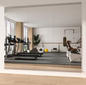 17 in. W x 55 in. H Rectangle Frameless Wall-Mounted HD Gym Mirror