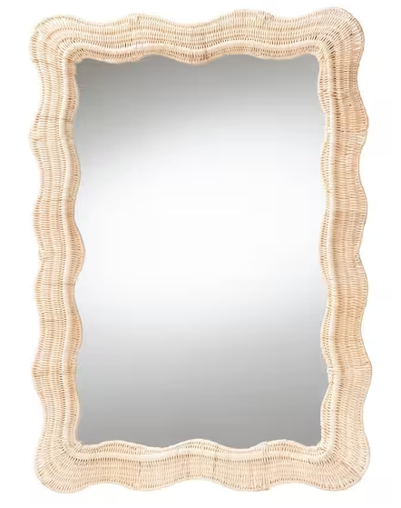 Hasana 27.6 in. W x 39.4 in. H Rattan Mirror