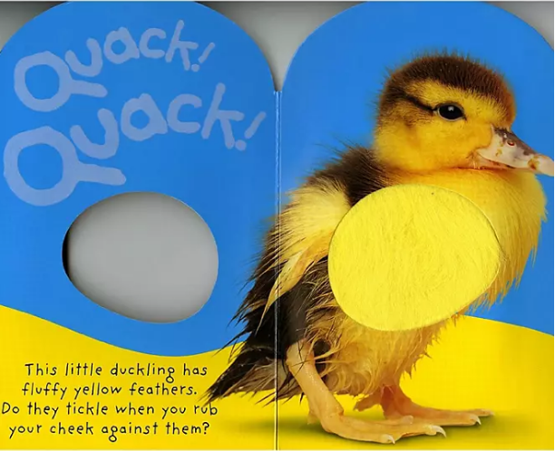 Baby Touch & Feel: Quack! Quack!, Board Book