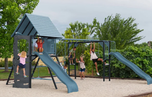 Lifetime Double Slide Swing Set