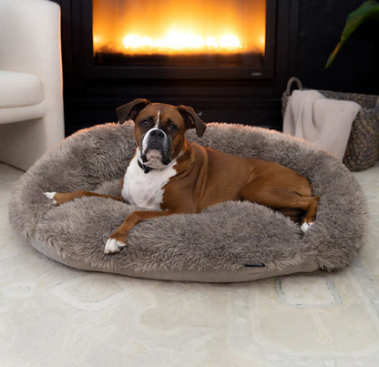 Doggy Decor by Arlee Home & Pet Memory Foam Moonrise Pet Bed