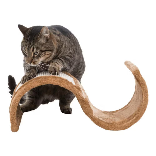 Brown Cat Scratching Wave